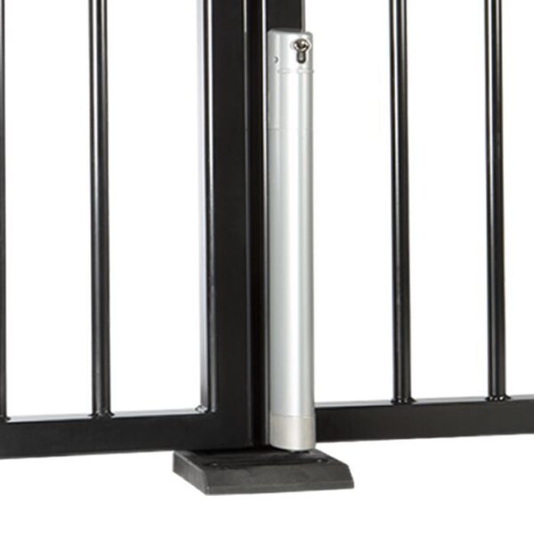 Locinox ELECTRADROP Motorized Electrical Drop Bolt